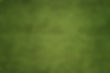 green snake skin_edited.jpg