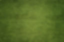 green snake skin_edited.jpg
