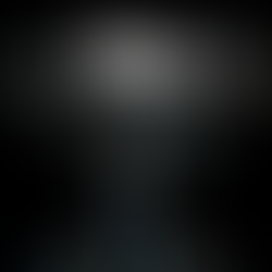 The Fullness of Emptiness