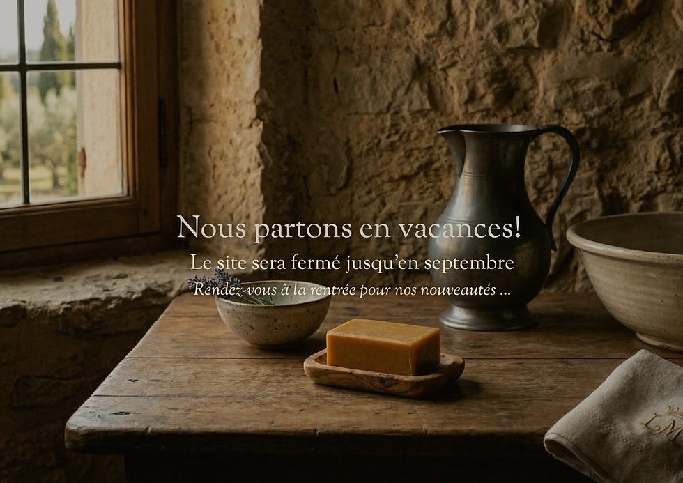 Nous partons en vacances! (4).png