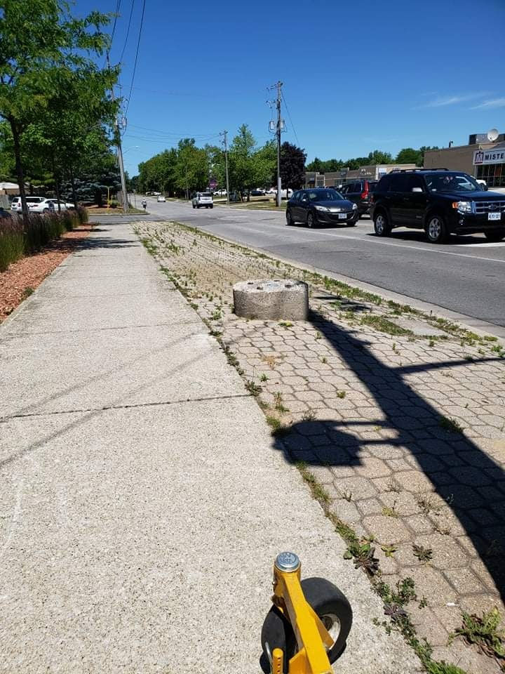 240459999_4957891067571395_8853921386979207989_n