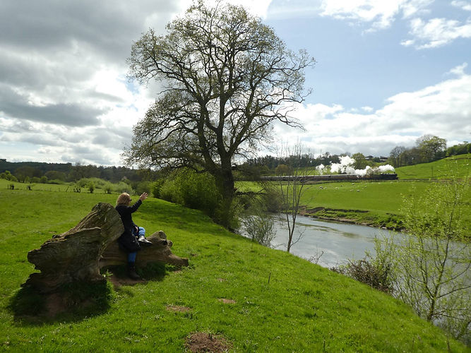 Waving at the severn valley railway