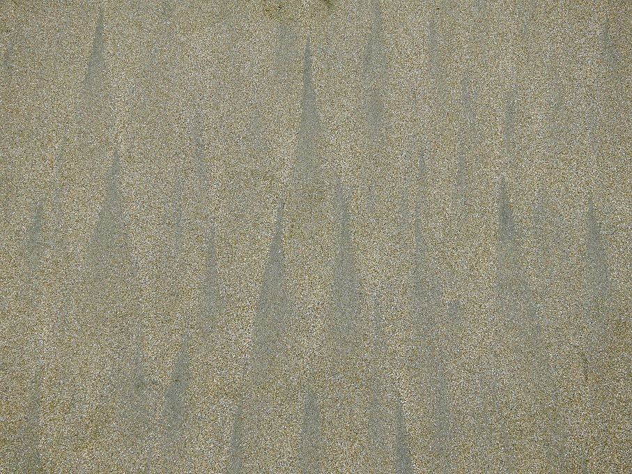 DSCN0695.jpeg