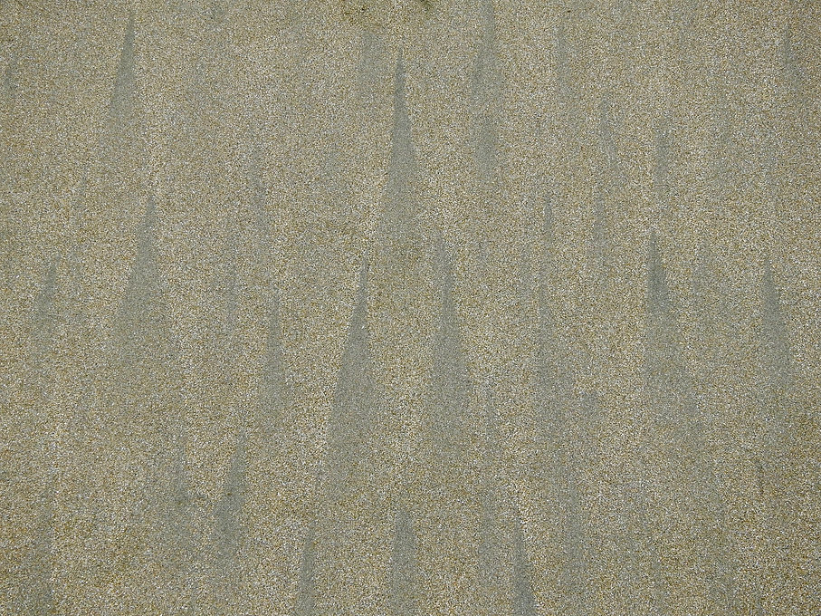 DSCN0695.jpeg