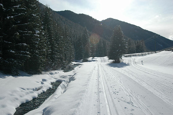 Gasthaus Elisabeth-Langlaufloipe Pensert