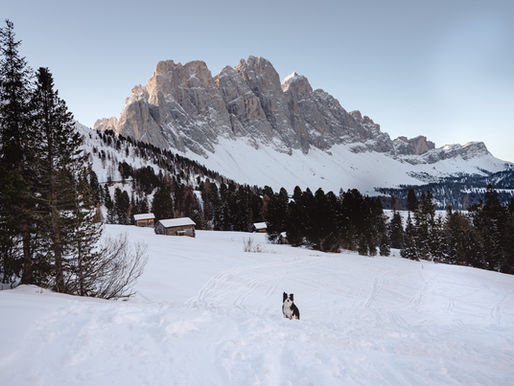 Winterwanderung in den Dolomiten – Zendleser Kofel (2.422 m)