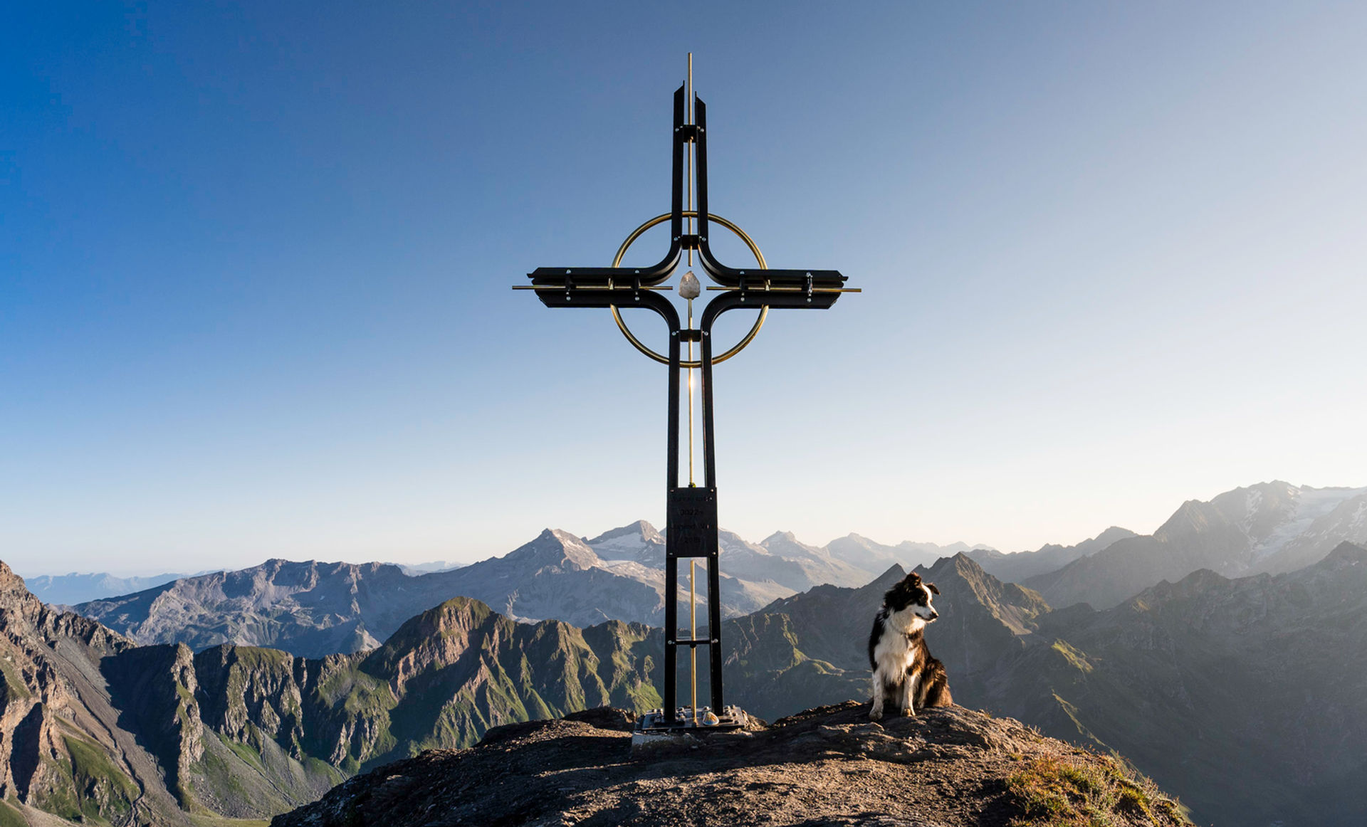 Hundewanderungen in Südtirol - Vierbeiner in den Bergen