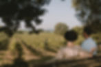 Corte Pravecchio Weingut in Valeggio sul Mincio