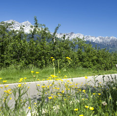 TourismusvereinPartschins_Helmuth_Rier_T