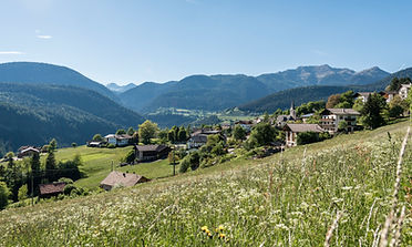 _DSC7364.jpg