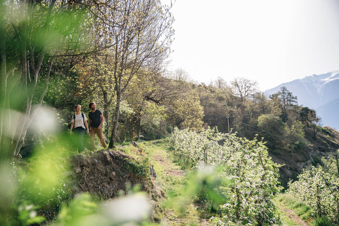 Ferienwohnung vinlauris in Kastelbell Tschars