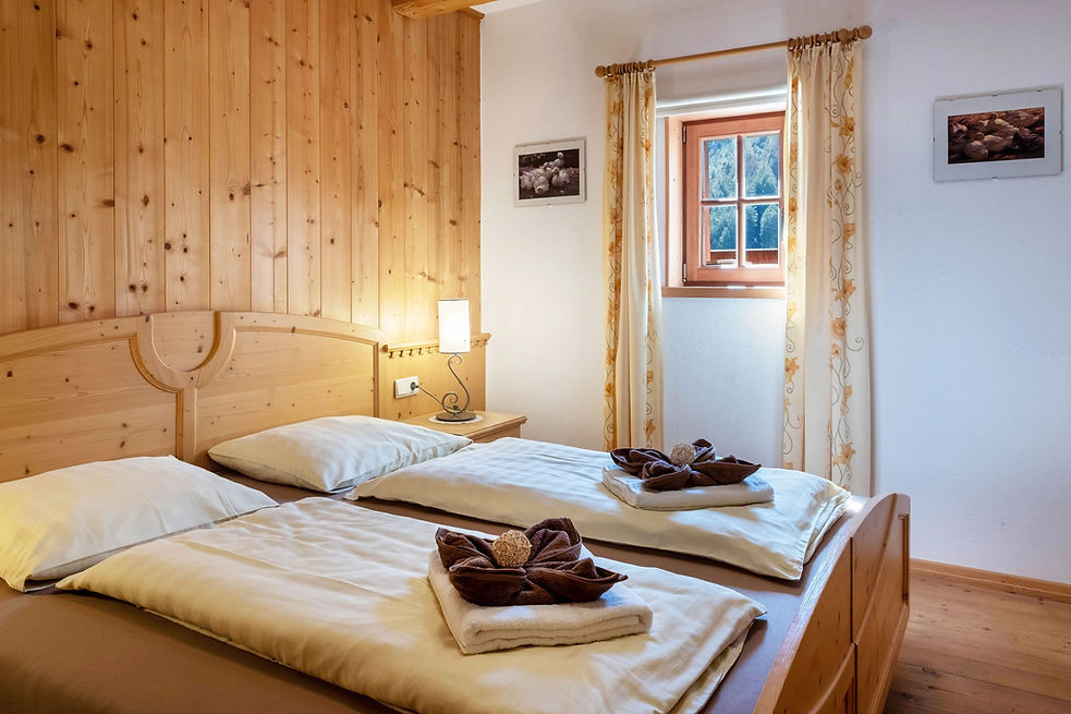 Birke_Apartment-Fiechterhof-Schnalstal-Ferienbauernhof_Südtirol-12_edited_edited.jpg
