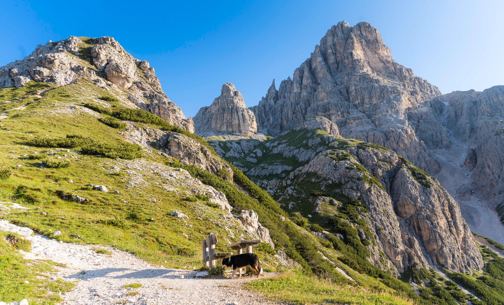 Dolomiten erleben mit Hund - unsere schönsten Hundewanderungen in Südtirol