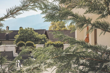 Gemütliches Apartment am Bauernhof, Schnatzhof, Südtirol