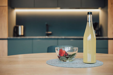 Hundefreundliches Apartment - Urlaub mit Hund in Meran und Umgebung