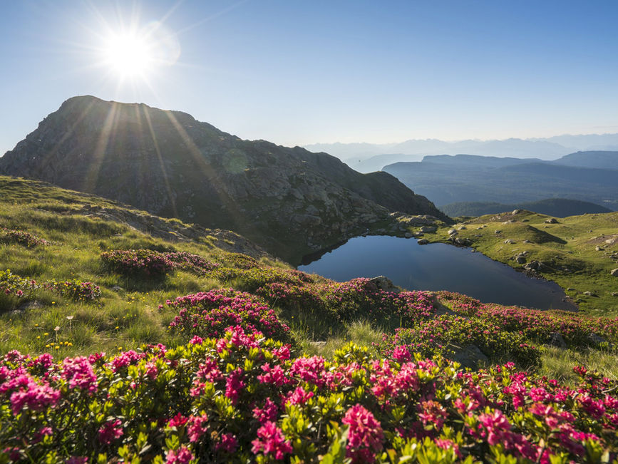 Sommerurlaub Ferienwohnungen Gurtenhof in Tisens bei Meran
