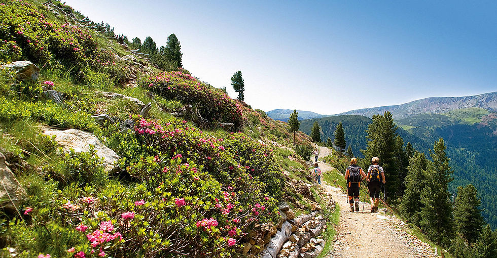 csm_171-Ferienregion-Sarntal-Suedtirol_fbd5323bd1.jpg