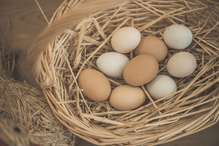 Ferienwohnung Schnatzhof mit Pool und Garten