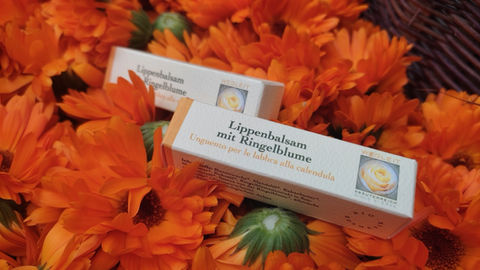 Kräuterreich Wegleit Ultental