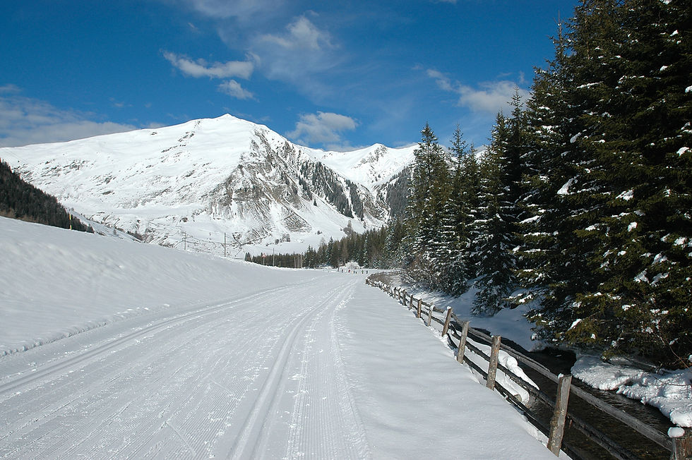 Gasthaus Elisabeth-Langlaufloipe Pensert
