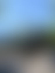 Muro Pardellerhof - muratura a secco - impresa di scavi Cermes