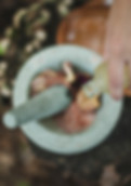 katherine-hanlon-mod2s3-qFOc-unsplash_ed