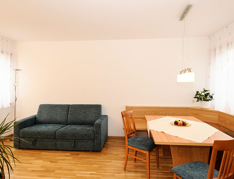 App. Goldegg_Wohnraum (2).jpg