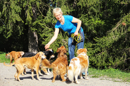 Haus_der_Hunde_Hundepension_Ultental_2.j