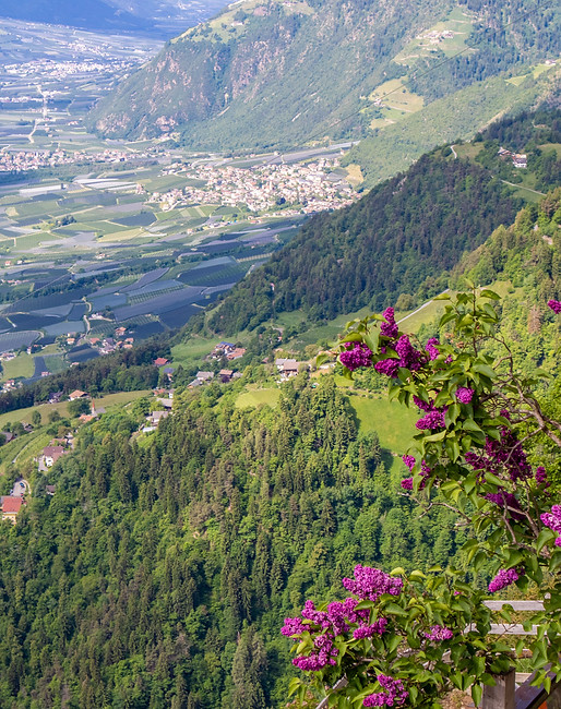 Oberhochmuthof_Wohnung_DorfTirol_Meraner