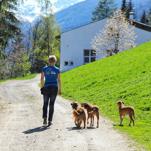 Haus_der_Hunde_Hundepension_Ultental_1.j