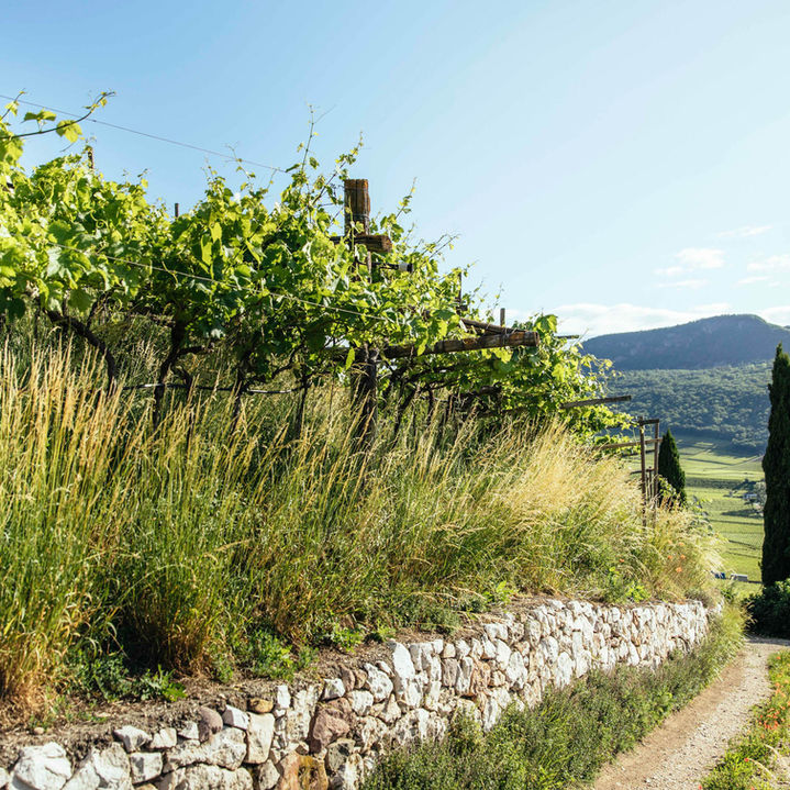 Wanderurlaub in Tisens bei Meran