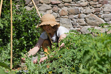 Verena-Breitenberger-Ernährungsexpertin-Bozen-Südtirol-Gartenshooting_2021_VerenaBreitenbe