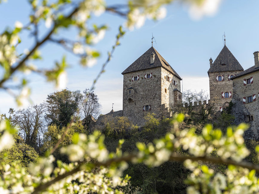 Ferienwohnungen & Apartments Gurtenhof in Tisens