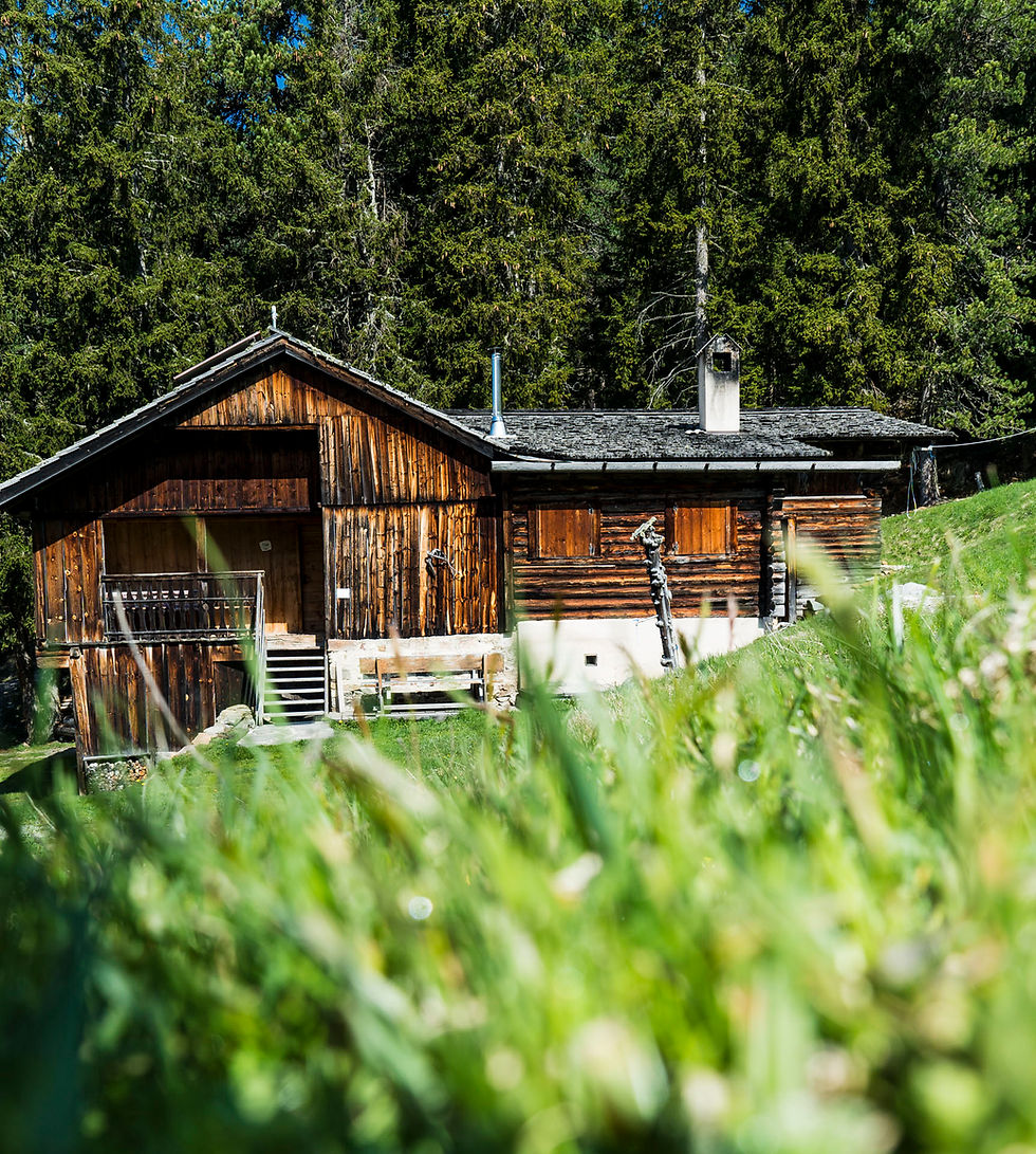 Hundewanderungen in Südtirol – Eisacktal mit Hund Mayla 