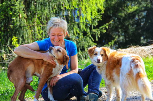 Haus_der_Hunde_Hundepension_Ultental_3.j