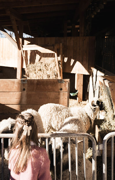 (c) Hannes Niederkofler_WEB_046_DSC5236.jpg