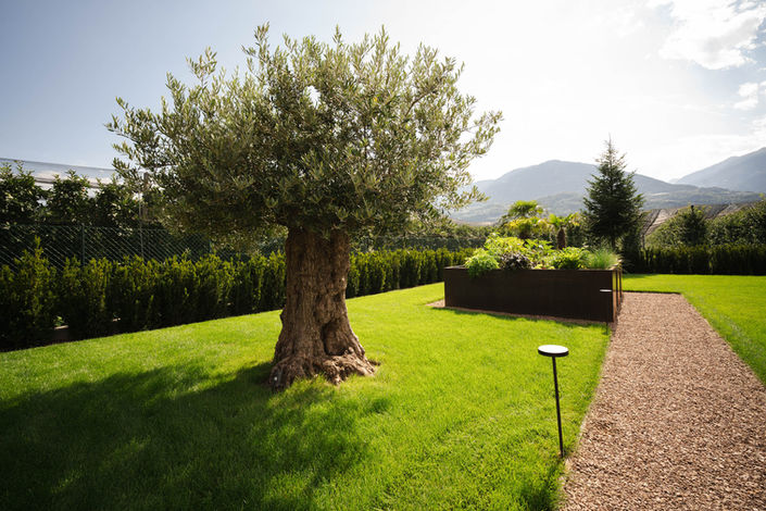 Gartenbau Gruber Tscherms, Gartenarbeiten, konzepte und Pflege
