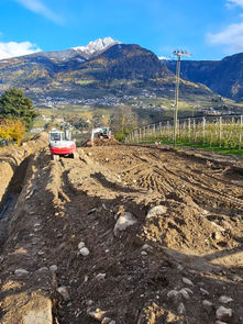 Errichtung Hofstelle Apollonia