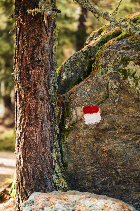 Wandern Ultental Ferienwohnung Mühlau St. Gertraud Ulten