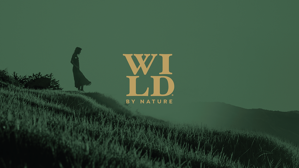 WBN_WEBSITE-06.png
