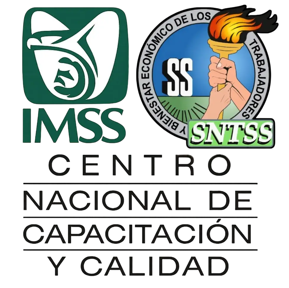 LOGO SNTSS_edited.jpg