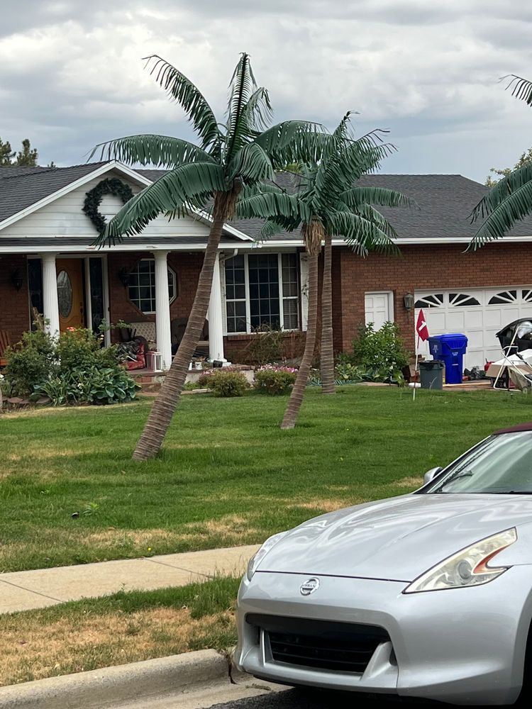 Fake Palm Trees