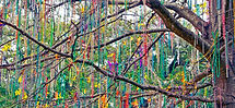 beads.jpeg