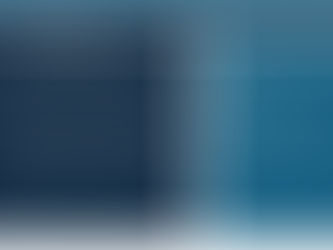 District Digest, Volume 1, Issue 2