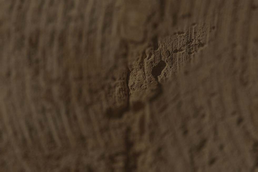 concrete-wall-texture-may-used-as-background-abstract copy.jpg