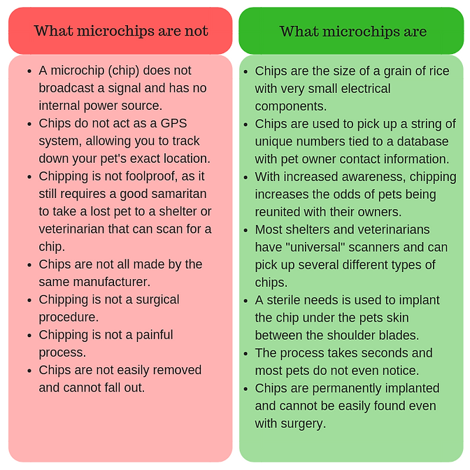 What microchips are not (1).png