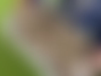 Die blaue Gruppe läutet die Osterzeit ein 🐣🌷🌞