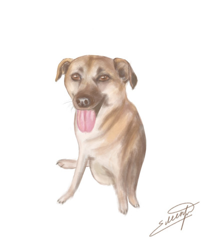 'Dog' Commission