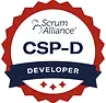 CSP - D.webp