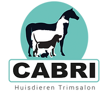 Logo Cabri.png